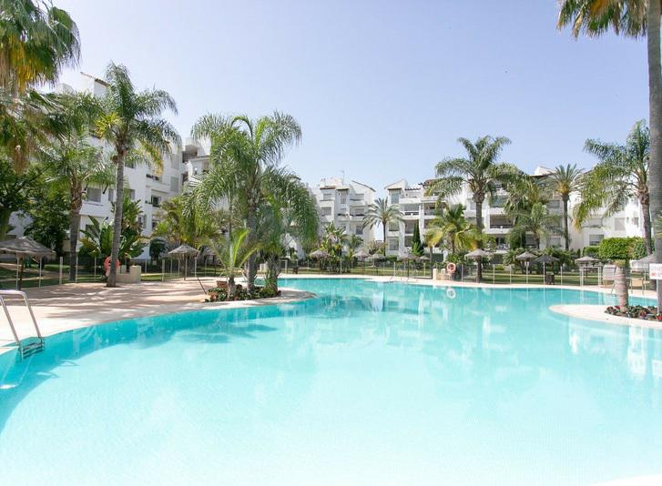 Elegant Beachside Apartment for Rent in Costalita Short Term Available