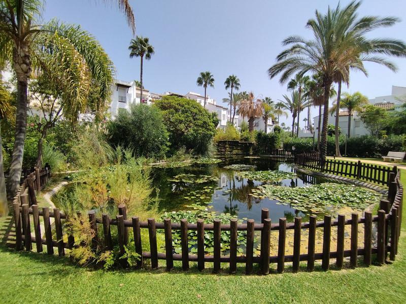 Elegant Beachside Apartment for Rent in Costalita Short Term Available
