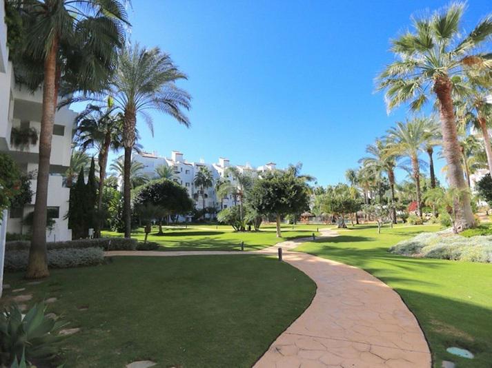 Elegant Beachside Apartment for Rent in Costalita Short Term Available