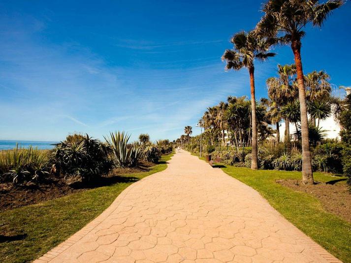 Elegant Beachside Apartment for Rent in Costalita Short Term Available