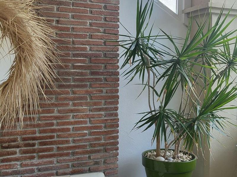 Boho-Style Ground Floor Apartment in Toscana Hills, Benahavís – Long-Term Rental
