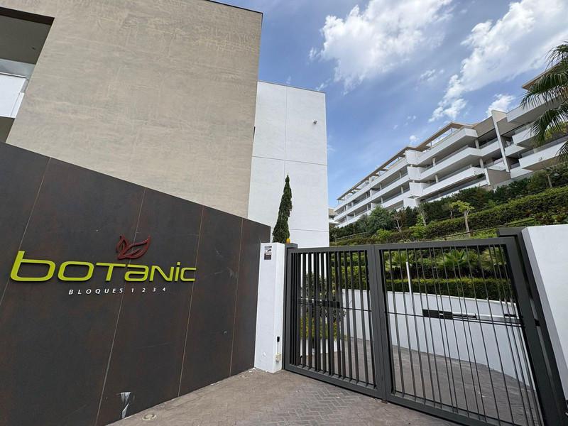 Spacious Ground Floor Apartment with Private Terrace in Los Arqueros – Long-Term Rental