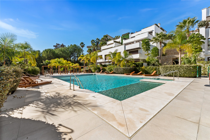 Luxury Duplex for Long-Term Rental on the Golden Mile